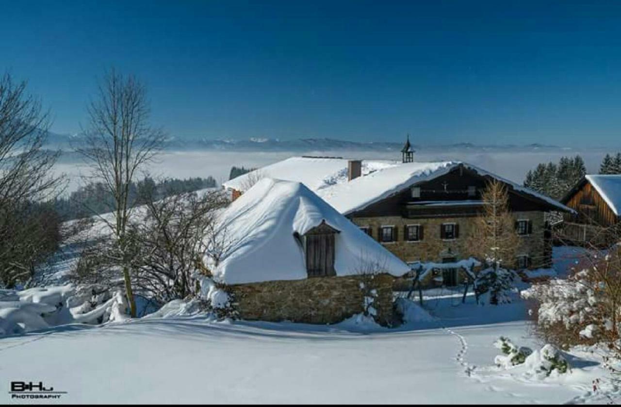 Bauernhof Moadl Vila Weyregg Exterior foto